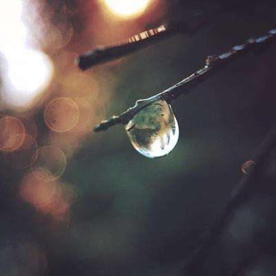 索尼克沙漠大挑战